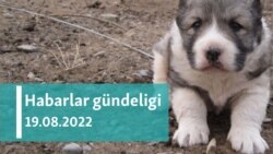 Habarlar gündeligi - 19-njy awgust, 2022-nji ýyl