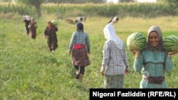 Täjigistanyň Hurramzamin obasy