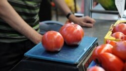 Diňle: Pomidorlary ýurduň daşynda satmak has girdejili - türkmen telekeçileri