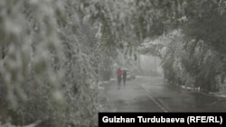 Бишкек шаары.