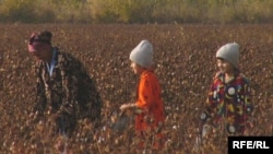 Қировли кунлар бошланган айни дамларда ҳам қишлоқлардаги ўзбек болаларининг куни ҳамон йилт этган оқлик қидириш билан ўтмоқда.