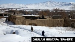 آرشیف - بارش برف در ولایت غزنی