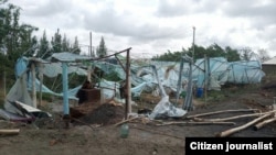 Теплица, которую алатский предприниматель построил на своем приусадебном участке, вложив все свои сбережения и полученный в банке кредит, была полностью разрушена во время урагана, произошедшего ночью 27 апреля.