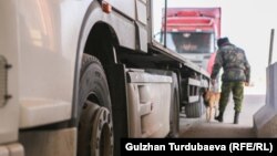 Иллюстративное фото. 