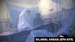 بیماری تب دنگی در افغانستان و پاکستان به دلایلی از جمله شرایط محیطی مطلوب برای پرورش پشه‌های حامل ویروس، نقص در سیستم بهداشتی، تغذیه نامناسب و عدم دسترسی به امکانات بهداشتی مناسب بیشتر شیوع دارد.