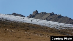 Сары-Чат-Ээр-Таш мамлекеттик коругу.