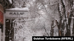 Бишкек шаары.  