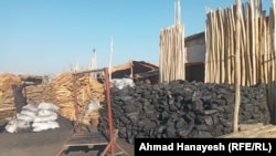 یکی از محلات فروش زغال و چوب سوخت در پروان 