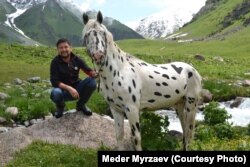 Blogyň awtory Munarbek Kuldanbaýew çaar atlarynyň tohumyny köpeldiji we barlagçysy.