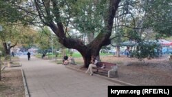 У сквері біля Успенського собору на вулиці Іллі Чавчавадзе