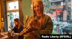 Кот Элизбар и официантка Марина