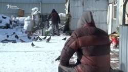 Селсаяктарды суукта жылыткан үй