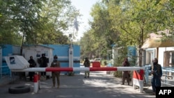 دانشجویان پوهنتون‌ها خواهان رفع این ممنوعیت برای سهولت در تحصیلات عملی خود هستند.