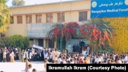 آرشیف - اعتراضات به بسته شدن پوهنتون‌ها به روی دختران در ولایت ننگرهار