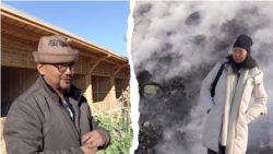 Меши жок, ышы жок, жылуу үй  