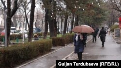 Иллюстрациялык сүрөт.