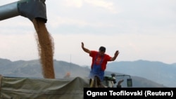 Акс аз бойгонист.