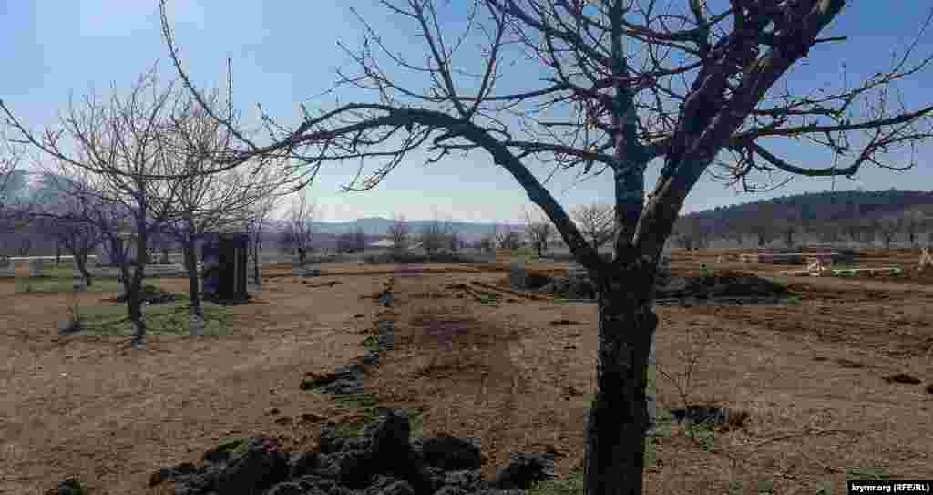 На месте срезанных деревьев начали копать фундаменты