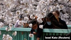 Иллюстрация сүрөт. Жапония.