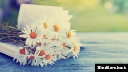 Иллюстрациялык сүрөт.