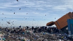 Таштандыны таштаганды ким үйрөтөт?