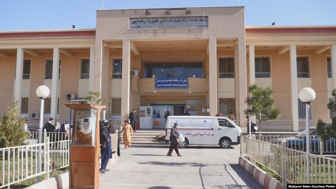 در جریان سال روان میلادی هفت مادر و ۱۴۶ نوزاد هنگام ولادت در هرات جان‌های خود را از دست داده اند.