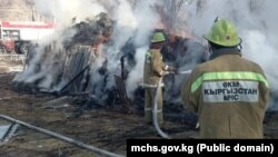 Иллюстрациялык сүрөт.