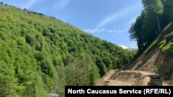 Энгельман аланына юл