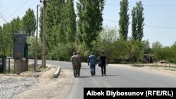 Иллюстрациялык сүрөт