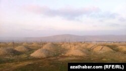 Türkmenistan, gonamçylyk.