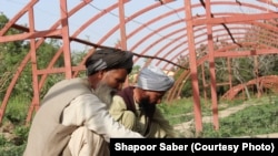 دو تن از دهقانان ولایت بادغیس