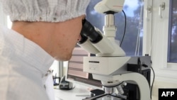 Illýustrasiýa suraty