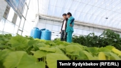 Иллюстративное фото.