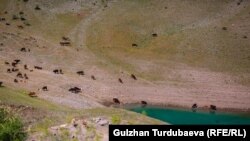Кыргызстандагы суу сактагычтардын бири. Иллюстрациялык сүрөт.
