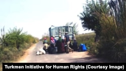 Источник: Turkmen Initiative for Human Rights