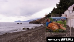 На рекламному щиті, встановленому на пляжі в селі Малоріченське у Криму, зображений кримський бізнесмен Олег Зубков разом із тваринами зі своїх зоопарків, вересень 2022 року