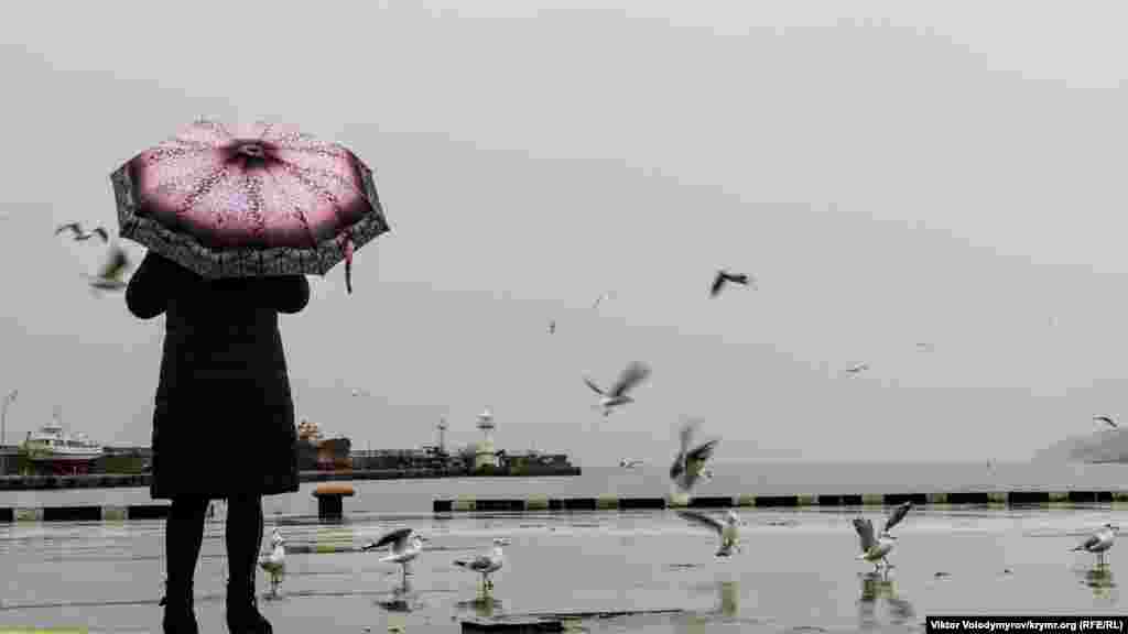 У таку пору року можна зустріти поодиноких перехожих, які годують численних чайок