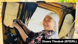 Чымкент шаары. Иллюстрациялык сүрөт