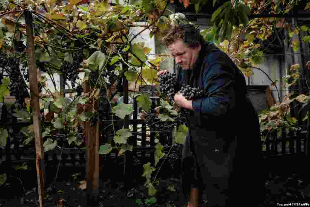 Олександра збирає виноград і волоські горіхи, щоб хоч трохи запастися вітамінами. Та вона стурбована браком основних продуктів харчування: таких, як картопля та цибуля, щоб пережити зиму, а також тим, що немає електроенергії та води