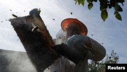 Акс аз бойгонӣ