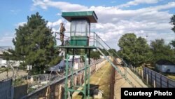 Кыргызстандагы колониялардын бири. Архив 