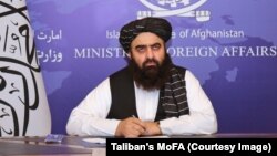 امیرخان متقی