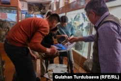 Студенттер бүркүттөрдү реставрация кылып жатышат.