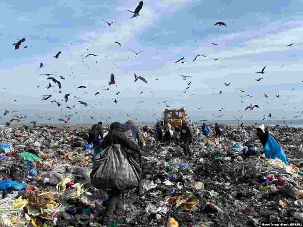 Эксперт зыяндуу заттардын абага бөлүнүп чыгышы Кыргызстанда толук изилдене электигине токтолгон. &laquo;Мен таштанды полигонунун ден соолукка таасири тууралуу атайын обзор жасагам. Атайын иликтөөлөр Орусия менен бир катар Европа өлкөлөрүндө жүргөн. Бизде андай жок. Адамдар таштанды төгүлгөн жерге жакын жашап атышат. Алардын ден соолугу жабыр тартууда. Айрыкча полигонго жакын жердеги мыйзамсыз курулуштардын, &laquo;Алтын-Казык&raquo;, &laquo;Калыс-Ордо 2&raquo; ж.б. конуштарынын жашоочуларынын ден соолугу жабыркап жатат. Онкологиялык ооруларга чалдыгуу коркунучу жогору. Бишкек өзү таштанды төгүлгөн жерден 20 чакырымдай эле алыс. Андан чыккан түтүн шаардыктар үчүн да кооптуу&raquo;, - деген&nbsp;Калия Молдогазиева&nbsp;24.kg маалымат агенттигине. 