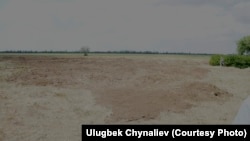 Чаплинск районундагы Крестова кыштагына жакын жердеги кыргыздар көмүлгөн жай азыр айдоо талаасына айланган. Херсон облусу, 17.05.2013