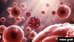 Иллюстрациялык сүрөт