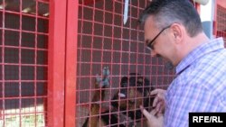 Kragujevac - novoizgrađeno prihvatilište za pse i mačke lutalice, fotografije uz tekst: Branko Vučković