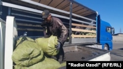 Көмүр базар. Дүйшөмбү шаарынын чети.