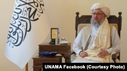  عبدالسلام حنفی، معاون ادارۀ رئیس الوزرای حکومت طالبان