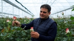 Գործարարը պնդում է՝ բիզնես հիմնելիս խնդիրները հաղթահարում են, արտահանման հարցում՝ թևաթափ լինում